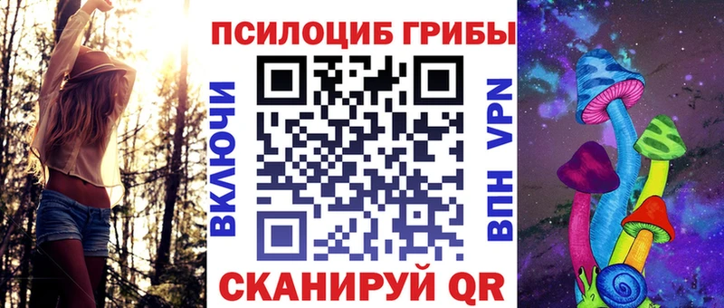 Псилоцибиновые грибы Psilocybine cubensis  Билибино 