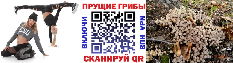 Галлюциногенные грибы ЛСД Билибино